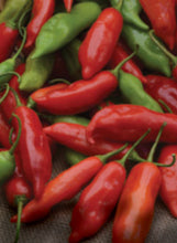 Load image into Gallery viewer, Pepper 'Aji Rico'