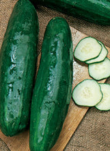 Load image into Gallery viewer, Cucumber 'Bush Crop'