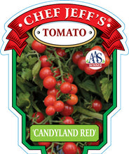 Load image into Gallery viewer, Tomato 'Candyland Red'