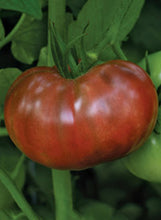 Load image into Gallery viewer, Tomato 'Cherokee Carbon'