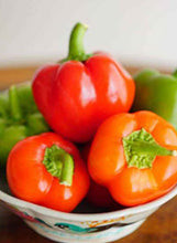 Load image into Gallery viewer, Pepper 'Chili Pie'