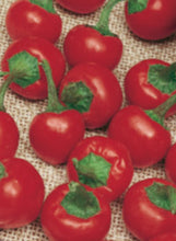 Load image into Gallery viewer, Pepper 'Hot Red Cherry'