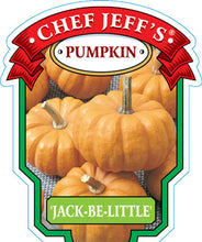 Load image into Gallery viewer, Pumpkin 'Jack Be Little'