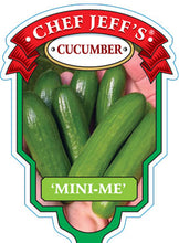 Load image into Gallery viewer, Cucumber "Mini-Me"