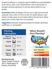 Load image into Gallery viewer, Purple Coneflower Seeds