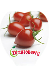 Load image into Gallery viewer, Tomato 'Tomatoberry'