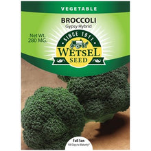 Load image into Gallery viewer, Broccoli 'Gypsy Hybrid' Seeds