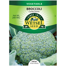 Load image into Gallery viewer, Broccoli 'Castle Dome' Seeds