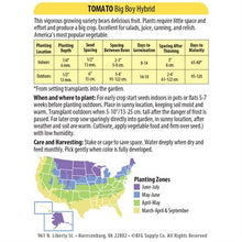 Load image into Gallery viewer, Tomato 'Big Boy' Seeds