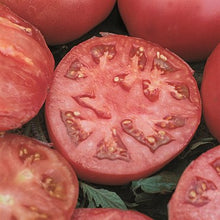 Load image into Gallery viewer, Tomato 'Big Boy' Seeds