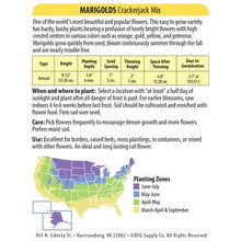 Load image into Gallery viewer, Marigold 'Crackerjack Mix' Seeds