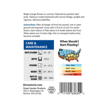 Load image into Gallery viewer, Butterfly Weed Seeds