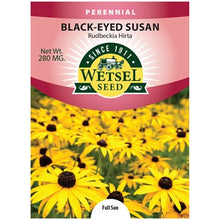 Load image into Gallery viewer, Rudbeckia Hirta Black Eyed Susan Seeds