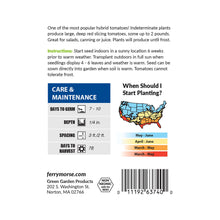 Load image into Gallery viewer, Tomato Big Boy Heirloom Seeds