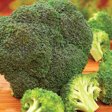 Load image into Gallery viewer, Broccoli De Cicco Organic Seeds