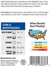 Load image into Gallery viewer, Carnation Chabaud Mixed Colors Seeds