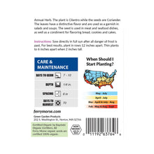 Load image into Gallery viewer, Cilantro Coriander Organic Seeds