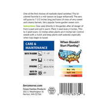 Load image into Gallery viewer, Corn Sweet Peaches & Cream Seeds