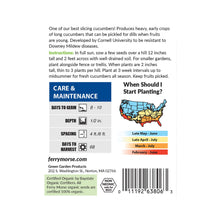 Load image into Gallery viewer, Cucumber, Marketmore Organic Seeds