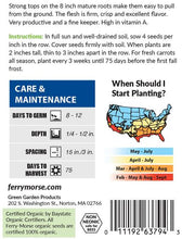 Load image into Gallery viewer, Carrot 'Danver' Organic Seeds