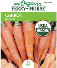 Load image into Gallery viewer, Carrot 'Danver' Organic Seeds