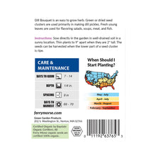 Load image into Gallery viewer, Dill Bouquet Organic Seeds