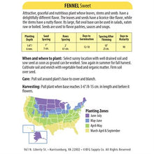 Load image into Gallery viewer, Sweet Fennel Seeds