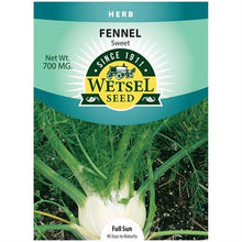 Load image into Gallery viewer, Sweet Fennel Seeds