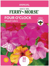 Load image into Gallery viewer, Four O'Clock Seeds