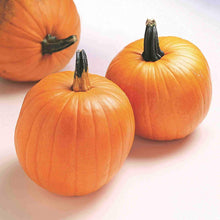 Load image into Gallery viewer, Pumpkin Jack O'Lantern Organic Seeds