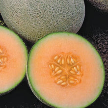Load image into Gallery viewer, Melon "Ambrosia"