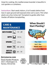 Load image into Gallery viewer, Lavender Munstead Seeds