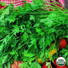 Load image into Gallery viewer, Parsley Single Italian Flat Organic Seeds