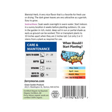 Load image into Gallery viewer, Parsley Single Italian Flat Organic Seeds