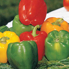 Load image into Gallery viewer, Pepper, Grand Bell Mix Seeds