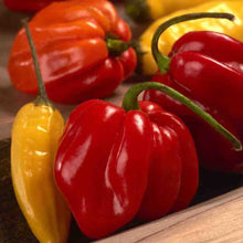 Load image into Gallery viewer, Pepper Habanero Organic Seeds