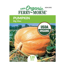 Load image into Gallery viewer, Pumpkin Big Max Organic Seeds