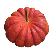 Load image into Gallery viewer, Specialty Autumn Harvest Mix Pumpkins