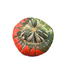 Load image into Gallery viewer, Specialty Autumn Harvest Mix Pumpkins