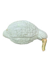 Load image into Gallery viewer, Specialty Autumn Harvest Mix Pumpkins