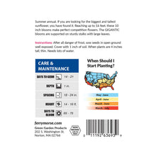 Load image into Gallery viewer, Sunflower American Giant Hybrid Seeds