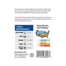 Load image into Gallery viewer, Sunflower Mammoth Seeds