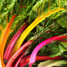 Load image into Gallery viewer, Swiss Chard Mixed Colors Organic Seeds