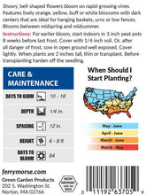 Load image into Gallery viewer, Thunbergia 'Black Eyed Susan' Seeds