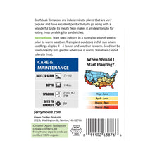 Load image into Gallery viewer, Tomato Beefsteak Organic Seeds
