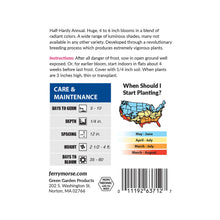 Load image into Gallery viewer, Zinnia State Fair Giant Mix Seeds