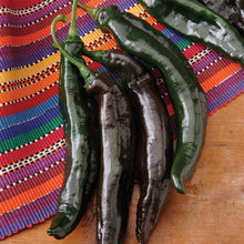Load image into Gallery viewer, Pepper 'Holy Mole'