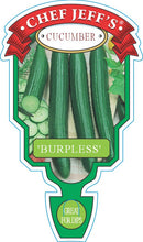 Load image into Gallery viewer, Cucumber "Burpless"
