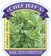 Load image into Gallery viewer, Basil Pesto Perpetuo