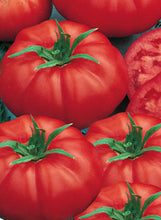 Load image into Gallery viewer, Tomato 'Big Boy'